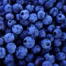 bluebe