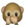 :Speak No Evil Monkey: